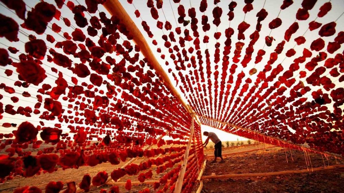 Yerel sofralardan dünya mutfaklarına taşındı! Gaziantep’in kurutmalıkları küresel lezzete dönüştü