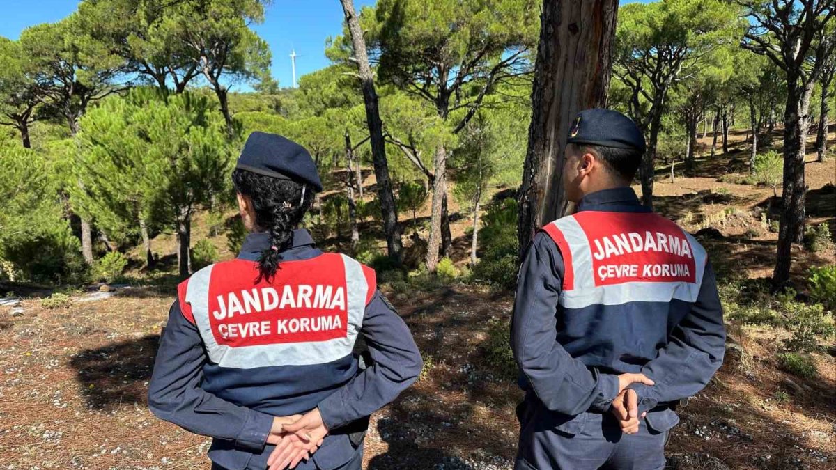 Jandarma o çiçeğin başında nöbet tutuyor! Tek dalını koparmanın cezası yarım milyon lirayı aşıyor