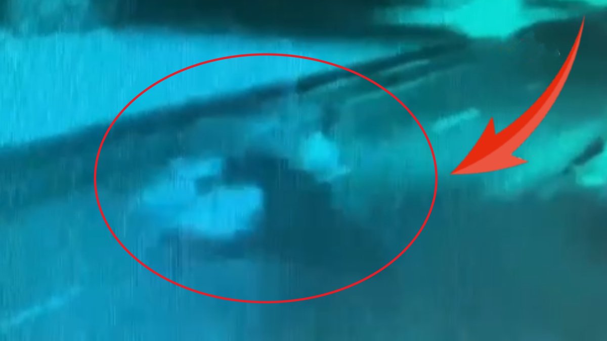 O anlar saniye saniye kamerada! Yolun karşısına geçmeye çalışan yaşlı adama otomobil çarptı