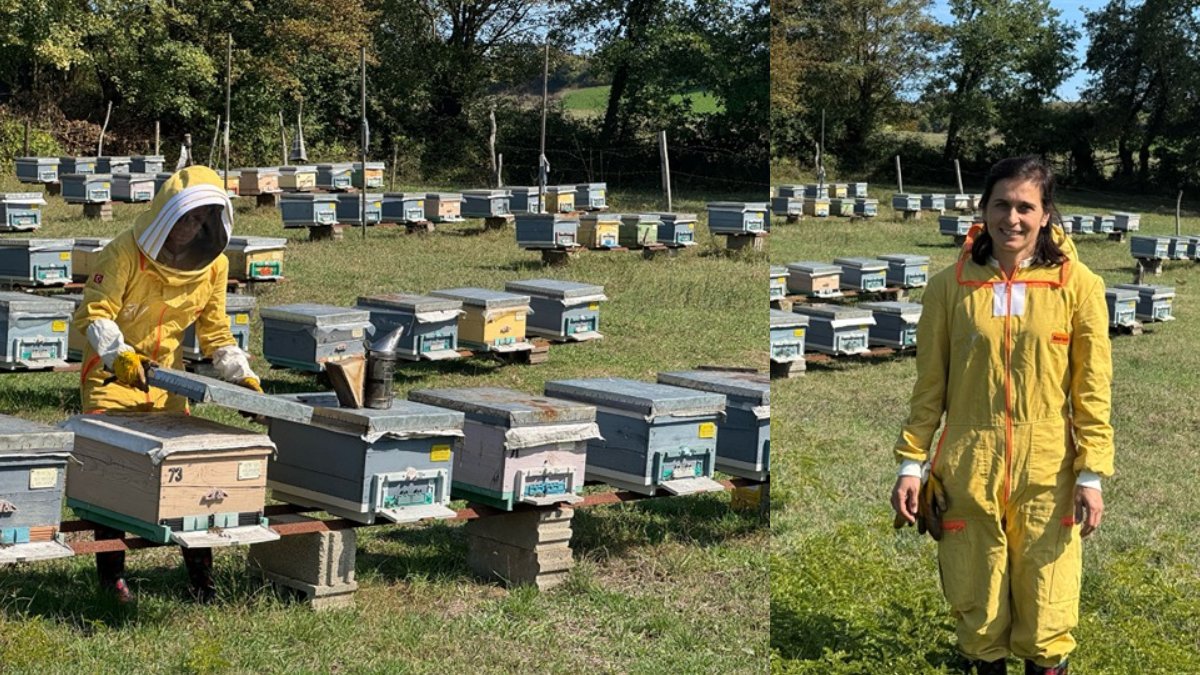Esra Sabancı işini gücünü bıraktı arıcılığa başladı! 200 kovanından 1 ton bal üretiyor