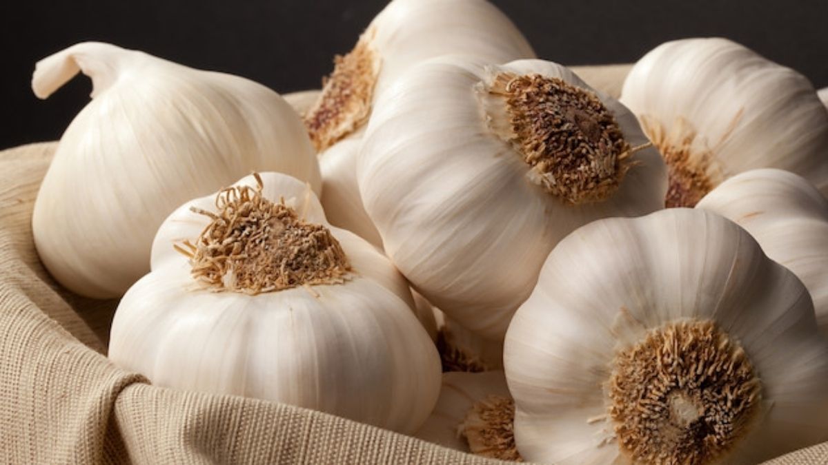 Hem lezzet harikası hem doğal antibiyotik! Kışın en sevilen ilacı: İşte sarımsağın tüm faydaları