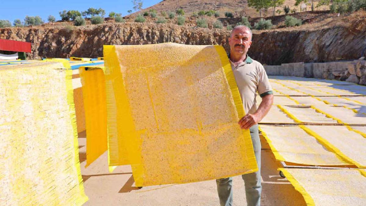 Hem yazın hem kışın tüketiliyor, tescilin hakkını veriyor! Üretimde son günler: Siparişleri yetiştirmeye çalışıyorlar