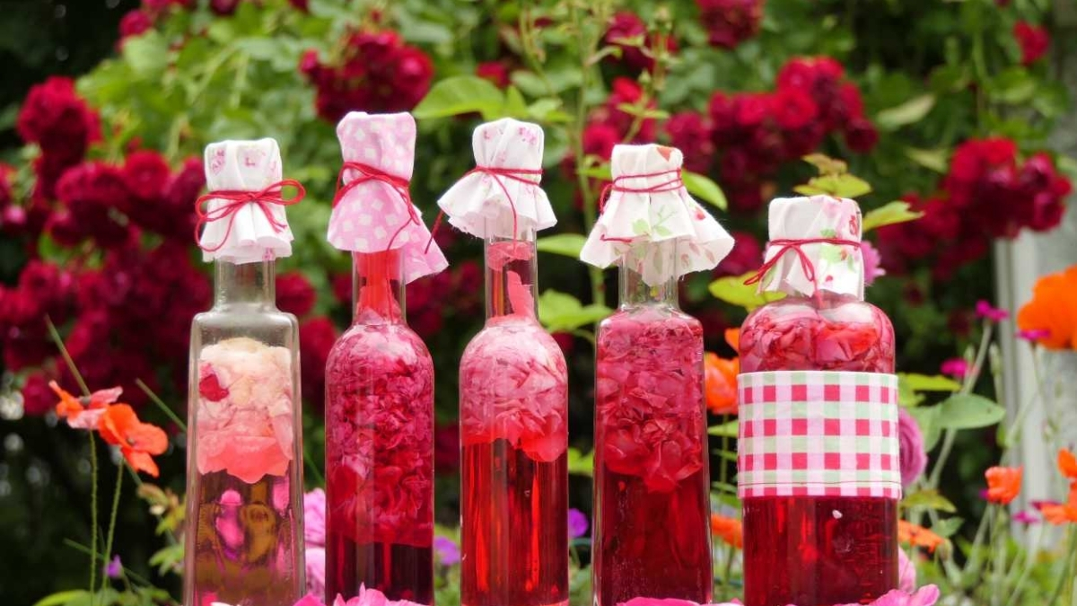 Aldığınız gülleri sakın çöpe atmayın! Hem cildinize hem sofranıza şifa olacak: İşte evde gül sirkesi yapımı