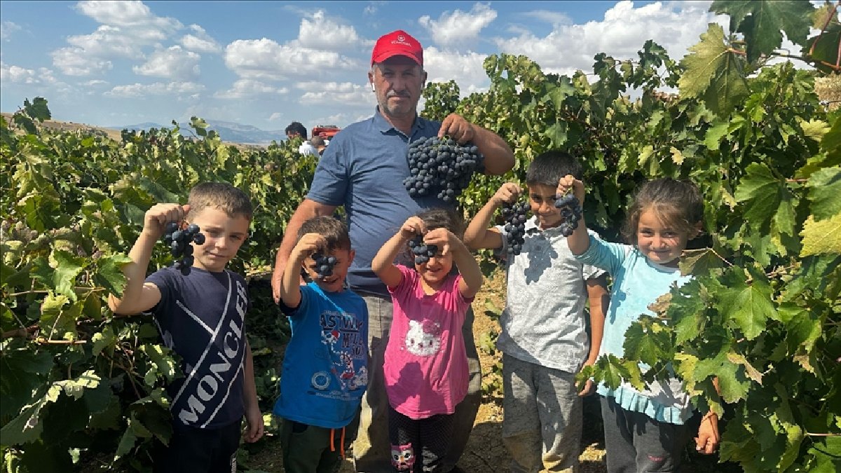 Devlet desteğiyle kuruldu, tersine göç başladı! Gençler kolları sıvıyor, kazancı çok oluyor