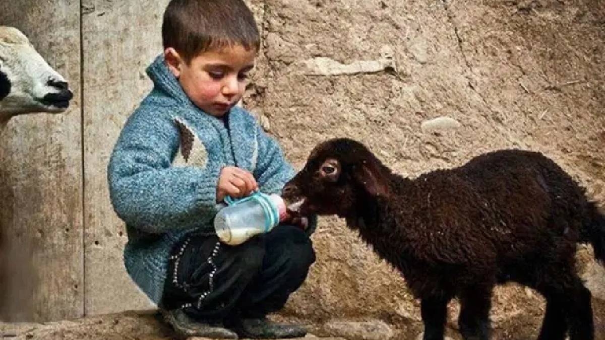 En masum burçlar hangileri? Bu 5 burcun kalbi tertemiz, ruhları ışıl ışıl!