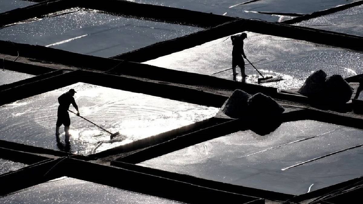 Dağlardan sofraya uzanıyor, doğallığıyla kazanıyor! Sağlık burada: Bölge ekonomisine de katkı sağlıyor