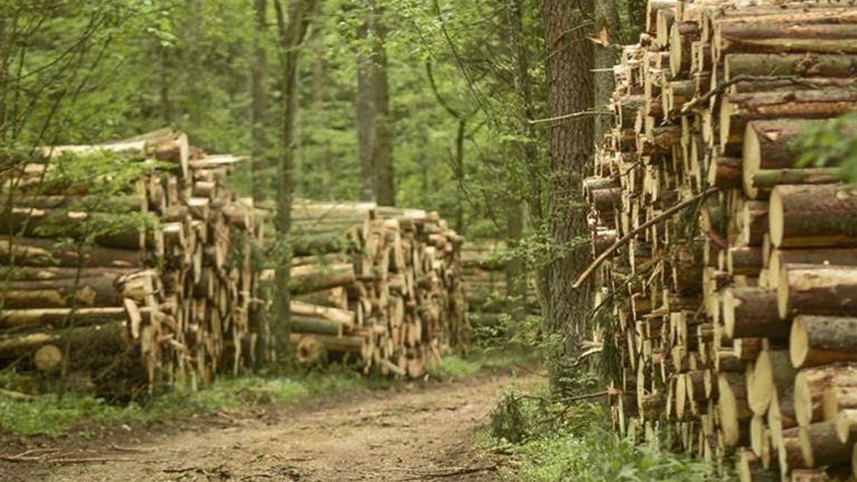 ABD'den Kanada'ya ek gümrük vergisi