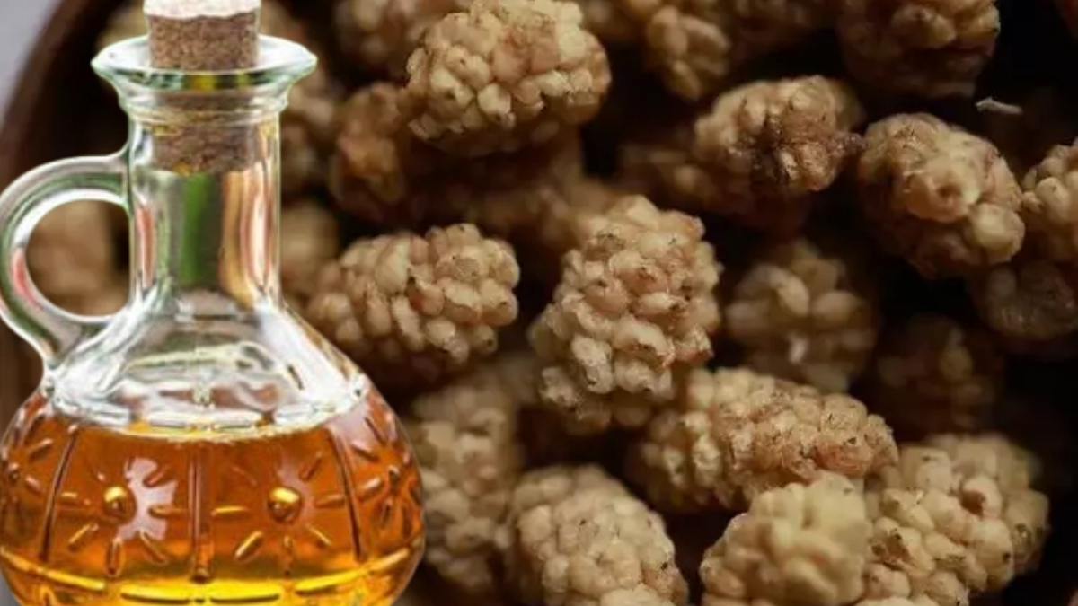 Hem şifalı hem lezzetli! Evde yapmak sanıldığı kadar zor değil: İşte evde dut sirkesi yapılışı