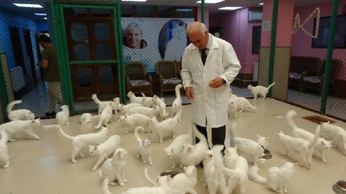 ‘Kırmızı alarm’ verilmişti… Van kendileri için tehlike sona erdi