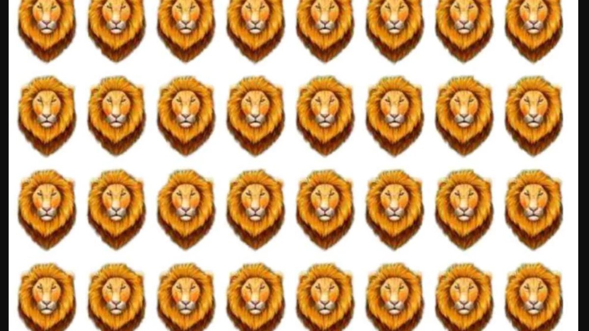 Sadece dahilere özel test! Farklı aslanı 6 saniyede bulabilir misiniz?