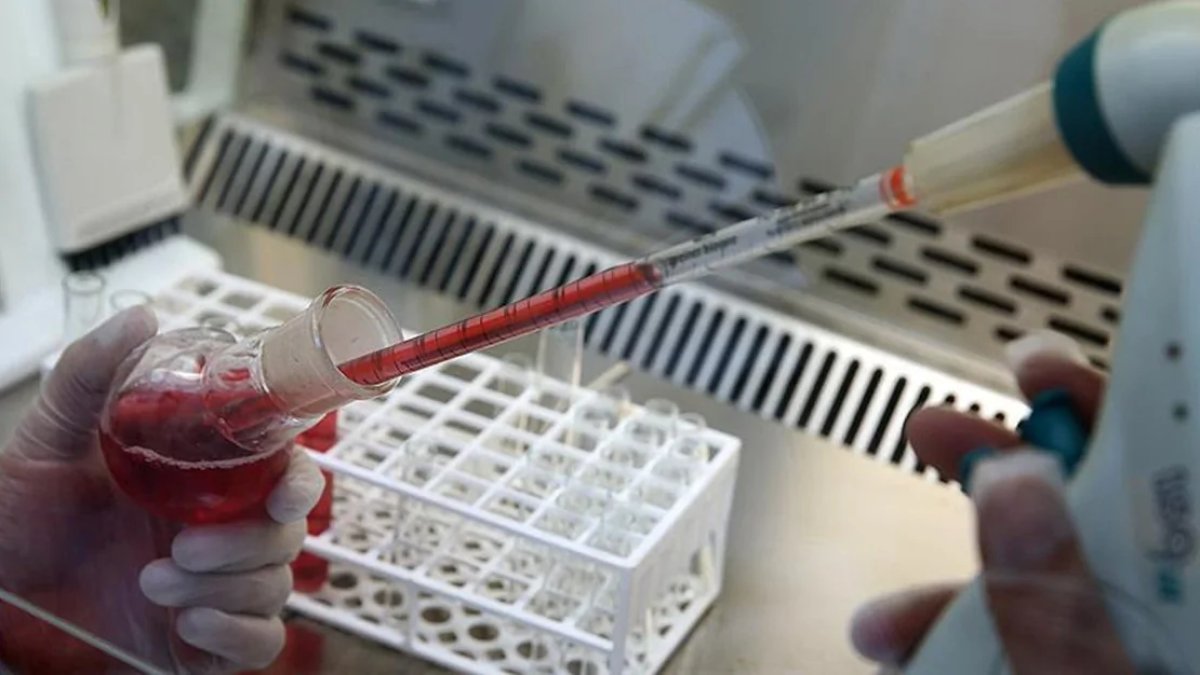 Her kan grubuna uyumlu “evrensel böbrek” üretildi