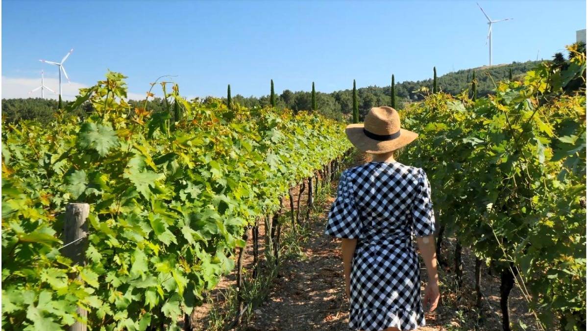 İzmir bağcılık mirasını koruyan Iter Vitis Rotası’na katıldı