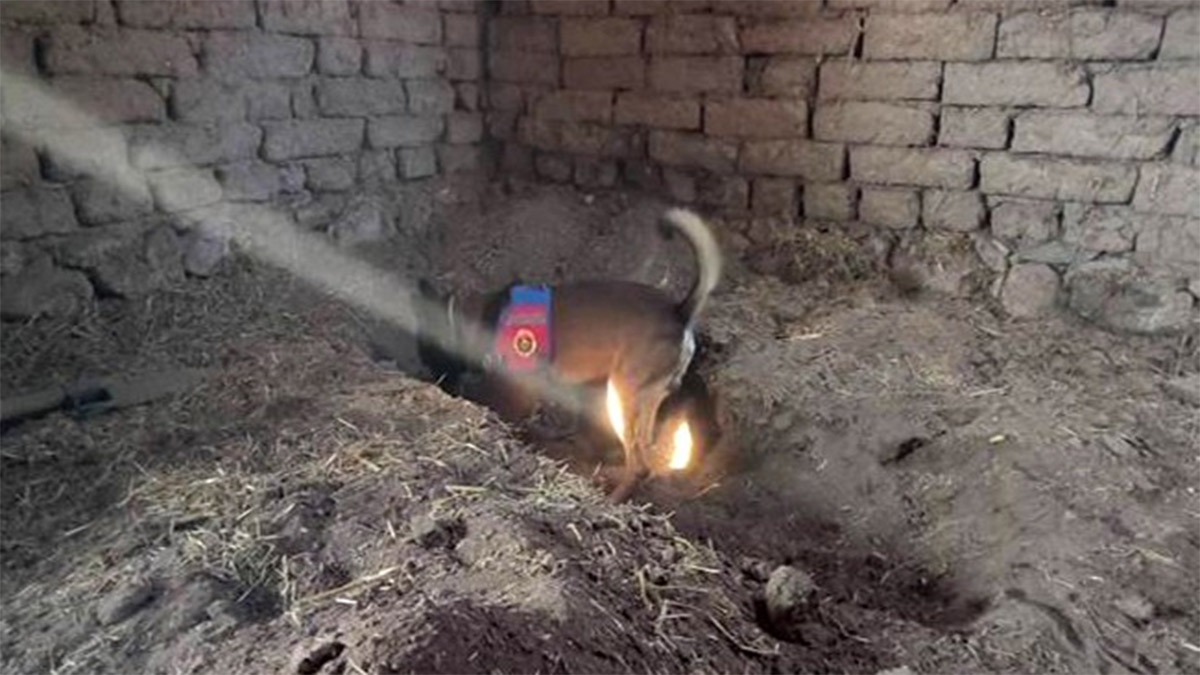 14 yıl önce kaybolan kişiyi kardeşinin öldürdüğü ortaya çıktı! Cansız bedeni evin altında bulundu