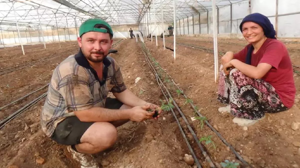 Sezona tam gaz başladı! 52 bin dönümde yetişiyor, 25 bin tanesi toprakla buluşuyor