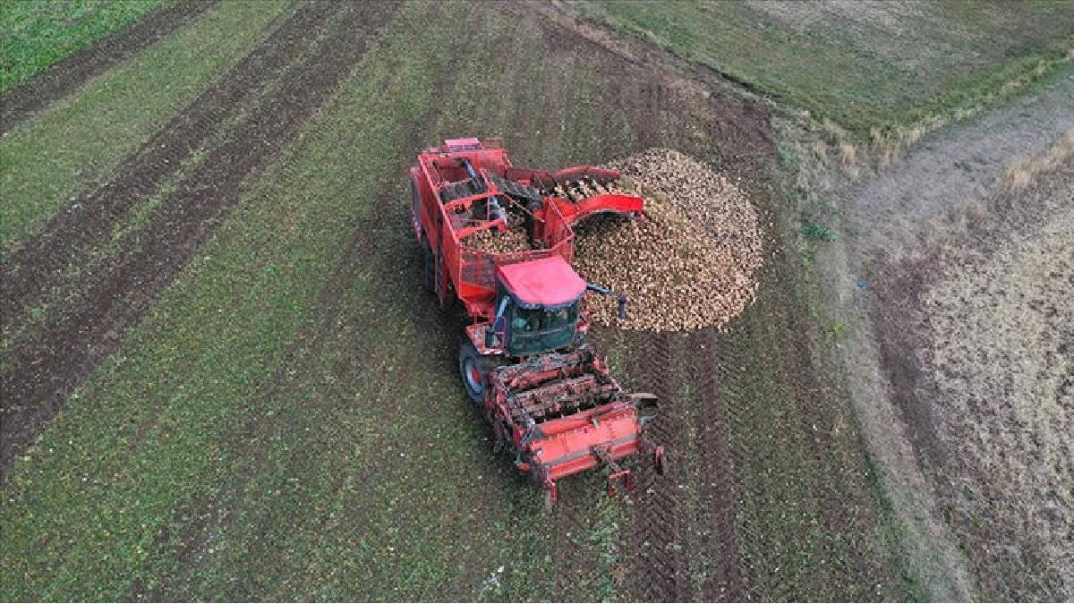 Verimli topraklar teknolojiyle buluştu! 2 aylık işi 1 günde yapıyorlar, hasadı kolayca tamamlıyorlar