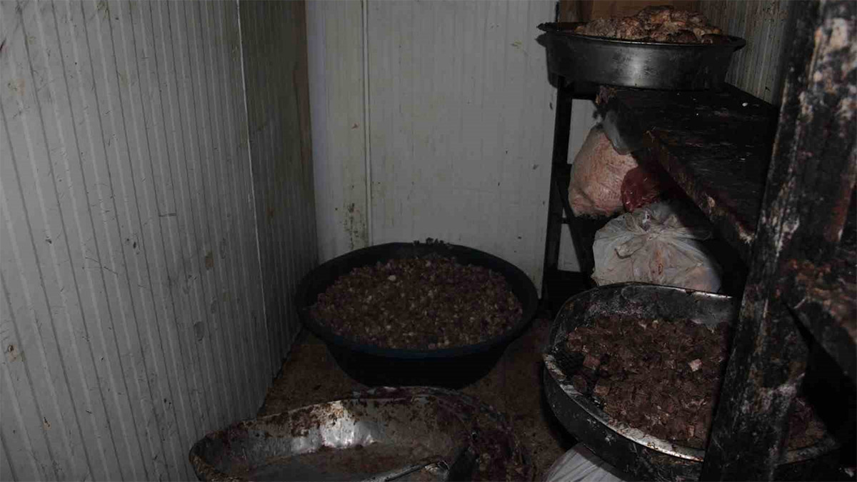 Lokantalara dağıtılacaktı! 1 ton kokmuş ve bozuk et ele geçirildi
