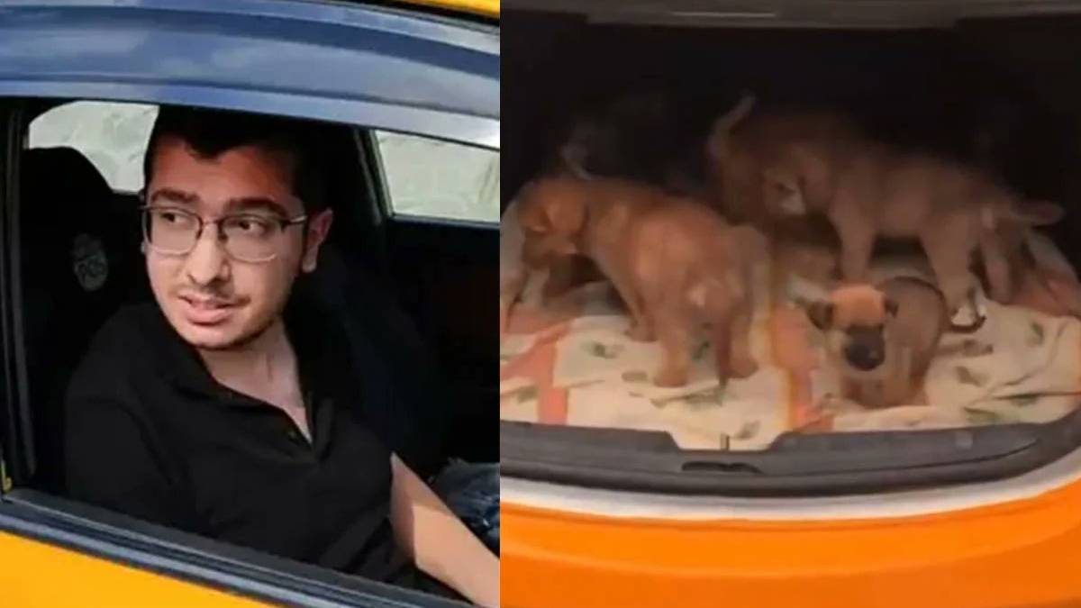 Sokak köpeklerini öldüren Duman'a mahkemeden ceza