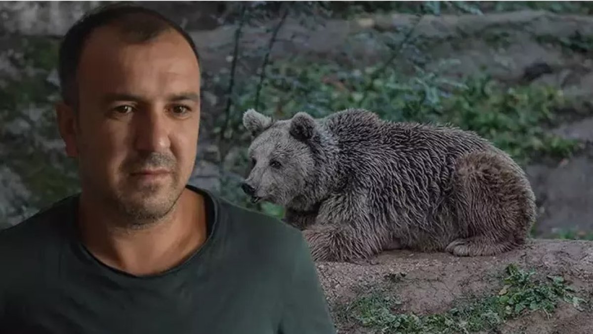 Ayı saldırısına uğrayan vatandaş yaşadıklarını anlattı: Üzerimdeki kıyafetleri ateşe verince ayı korkup kaçtı