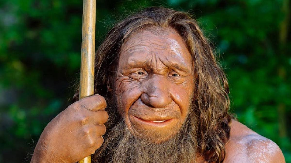 Bilim dünyasında heyecan yaratan keşif: Neandertallerin İzleri Türkiye’de