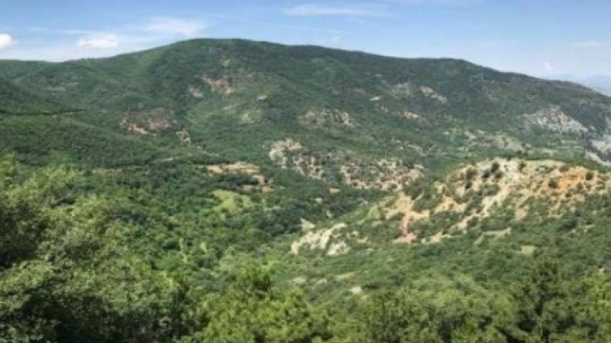 Mehmet Cengiz’in altın madeni projesine ÇED onayı: 57 bin ağaç kesilecek