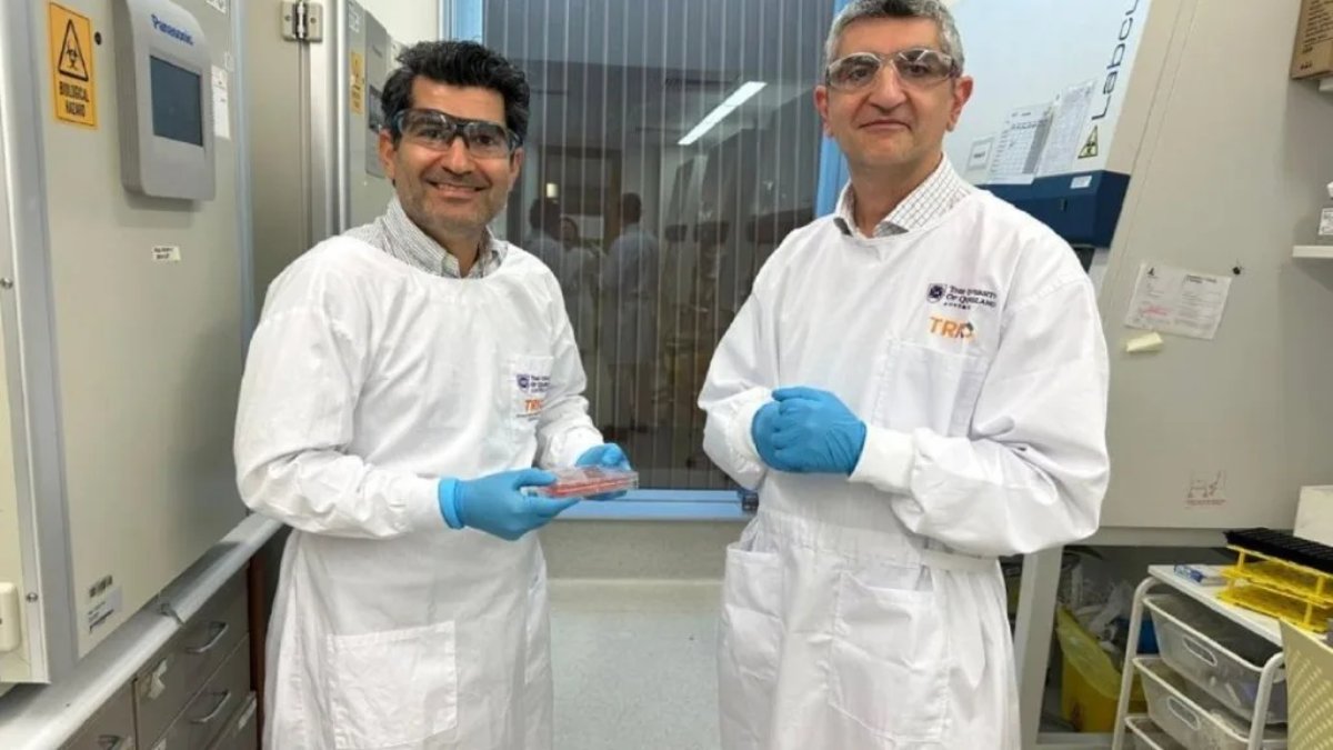 Laboratuvarda insan derisi üretildi: Bilim dünyası bunu da yaptı