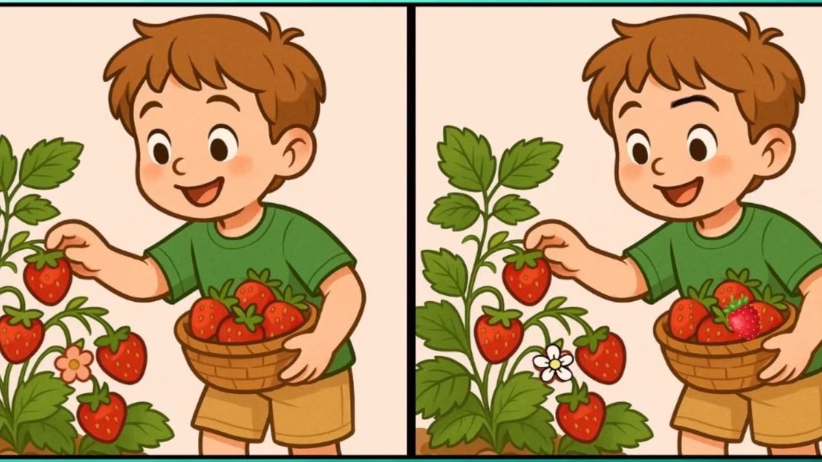 Yeteneklerinizi keşfetme zamanı! İki resim arasındaki 3 farkı bulan yüksek IQ’lu çıkıyor