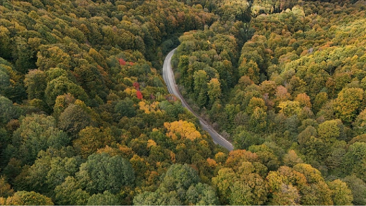 Doğanın eşsiz güzelliği! Sonbaharın tadı burada çıkıyor: Renk cümbüşü hayran bırakıyor