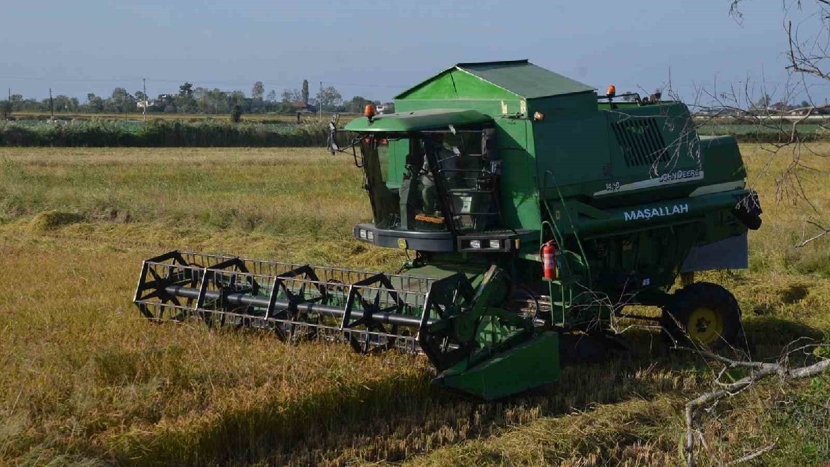 Tarım cennetinde hasat vakti! 70 yıllık gelenek sürdürülüyor, 47 mahalle bu işe gönül veriyor