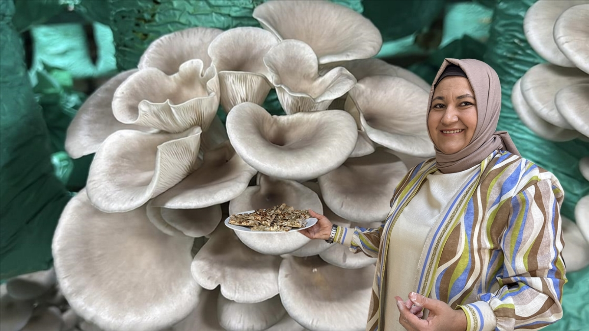 Evinin bahçesinde yetiştirmeye başladı, dönüm noktası oldu! Tonlarca üretiyor, 5 yıldızlı otellere satıyor