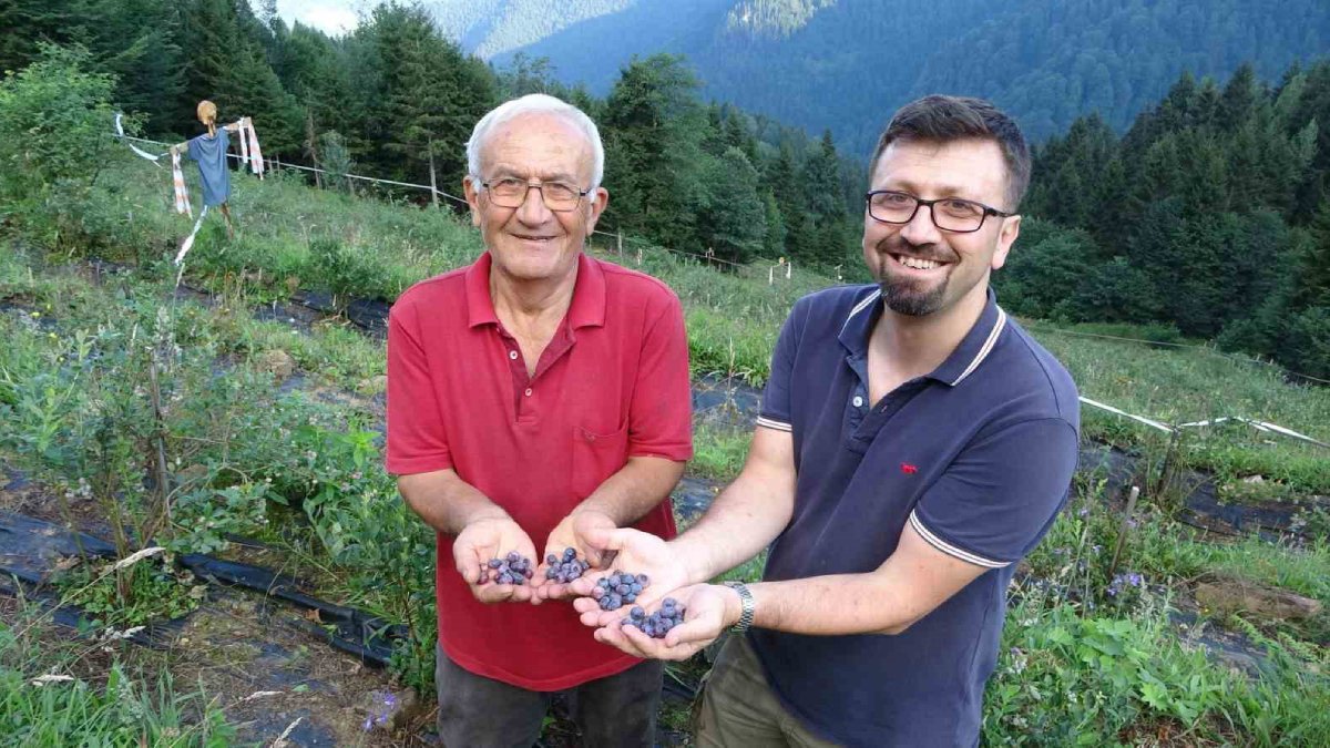 200 taneyle başladı 1700 taneye ulaştı! Kârı hoşuna gittikçe fidan sayısını da katladı