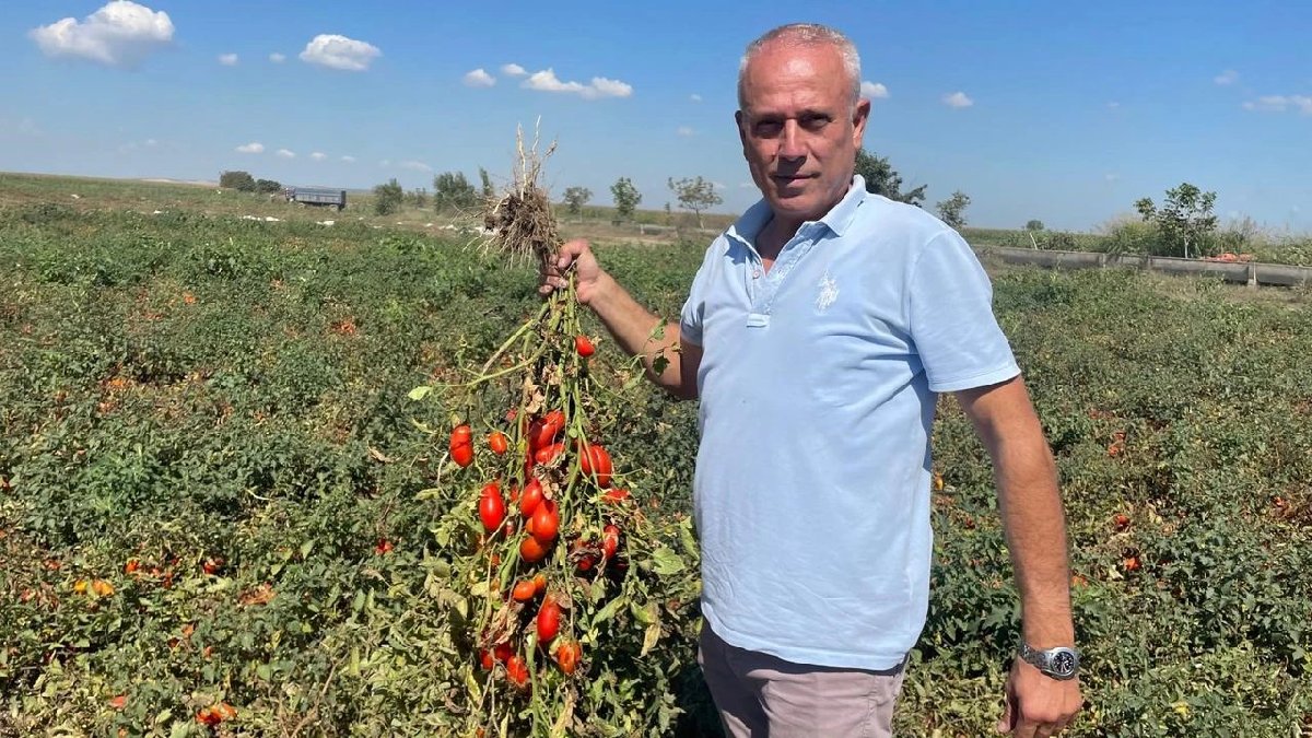 Dil öğreneyim diye gitti çokça kazanıp döndü! Londra’nın geliri Türkiye’ye yaradı: 10 yılda bön dönüm satın aldı