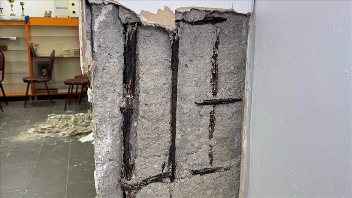 Uzmanlar yerel yönetimleri uyardı: Kolon kesmelere karşı 'Ruhsat şartı' getirilsin