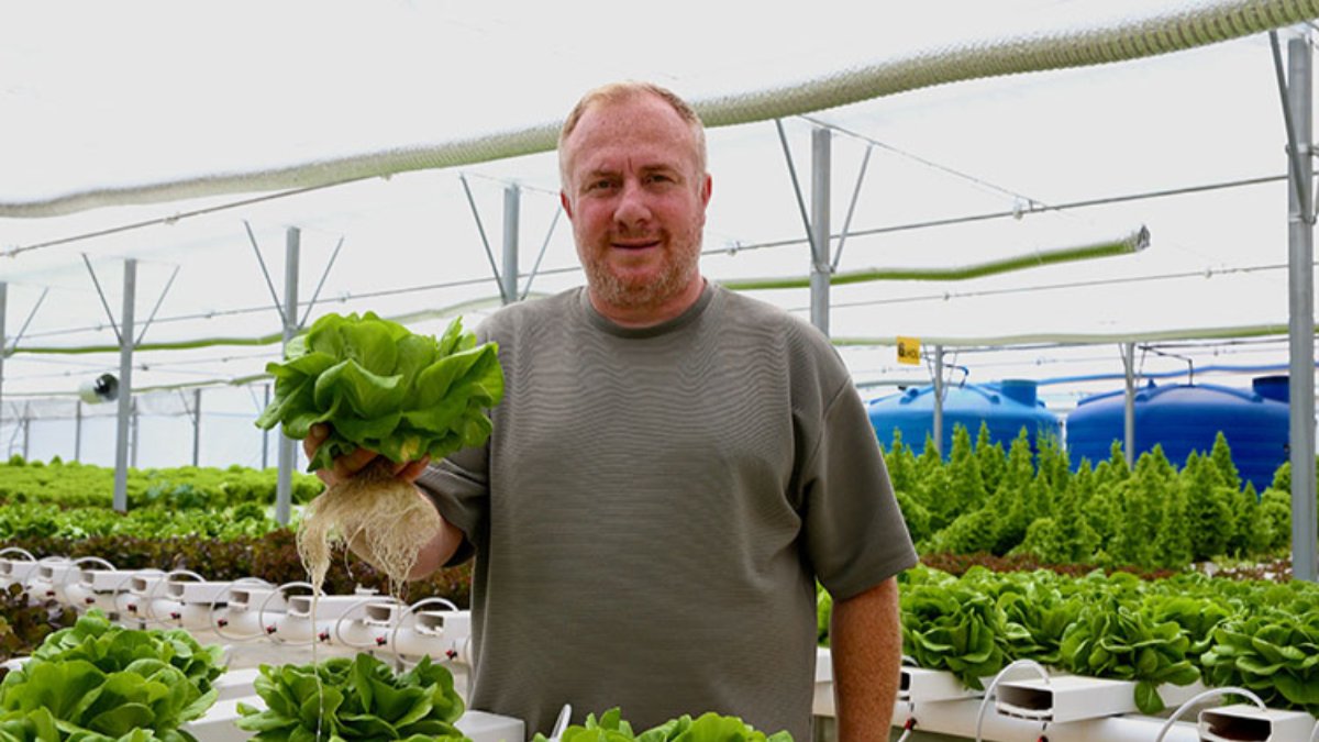 Lüks yatları bıraktı, hayatı tarımda buldu! Topraksız üretiyor, yılda 10 ton ürün alıyor