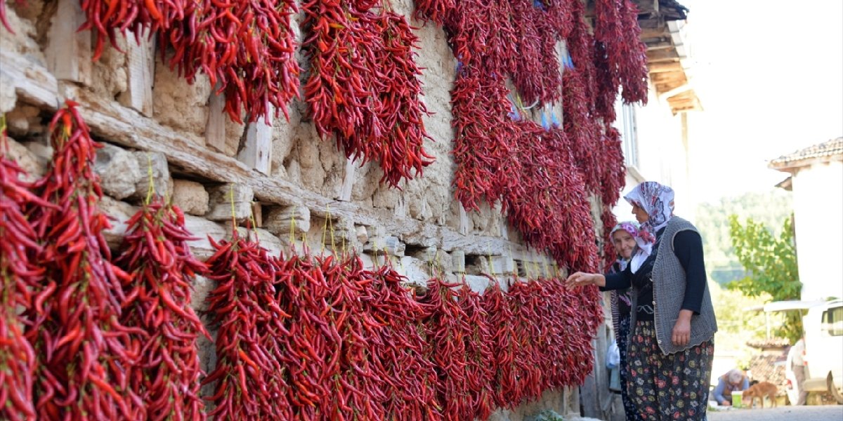 Yunanistan’dan geldi, coğrafi işaretlendi! 160 yıllık kırmızı geleneğin sonu yaklaşıyor: ‘Yapacak kimse yok’