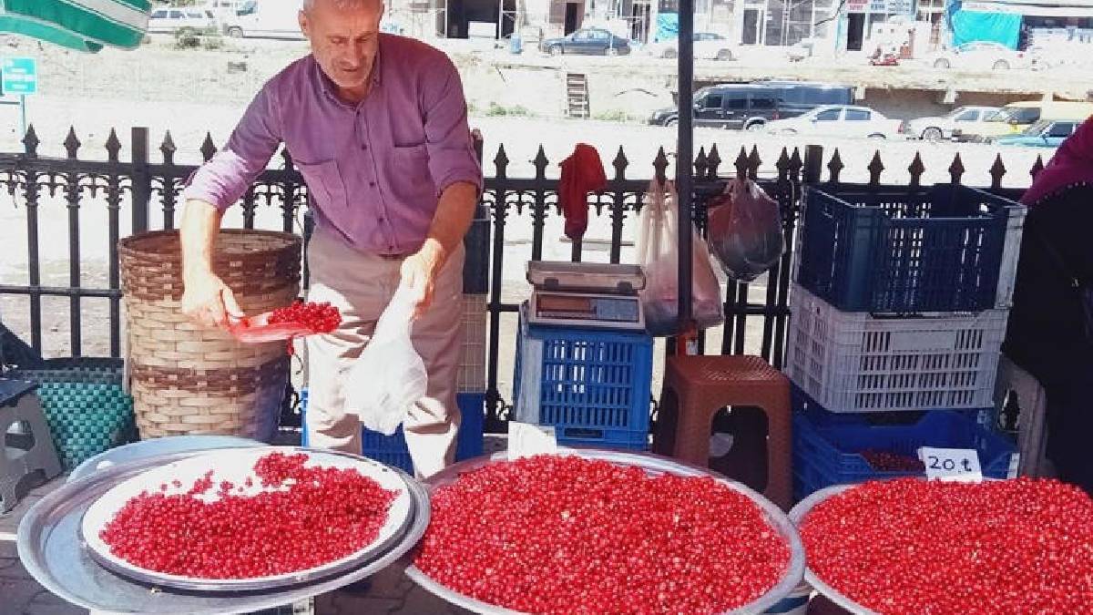 Kimi dere yatağından kimi ormandan topluyor! Rengi ayrı şifası ayrı dillerde: Tezgahta 80 TL’den yerini aldı