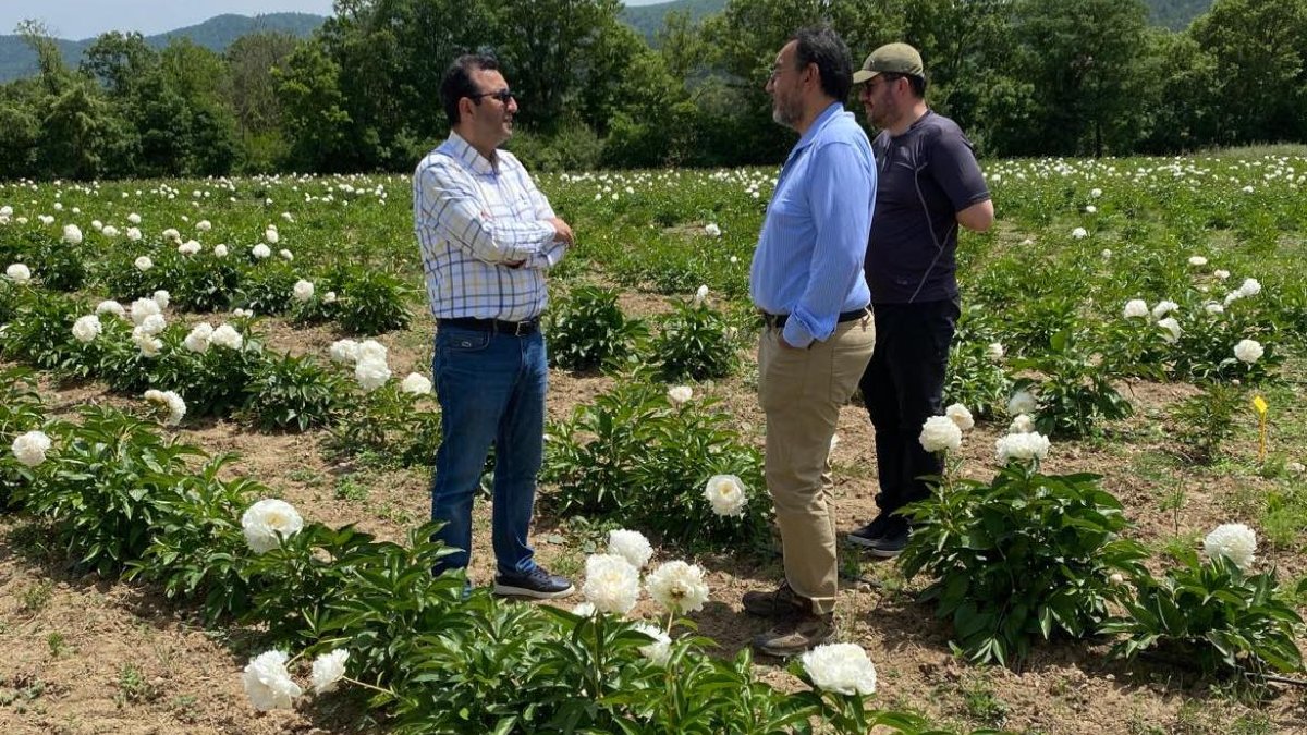 Yöneticiliği bıraktı, üreticiliğe başladı! Çanakkale’de üretiyor taleplere yetişemiyor
