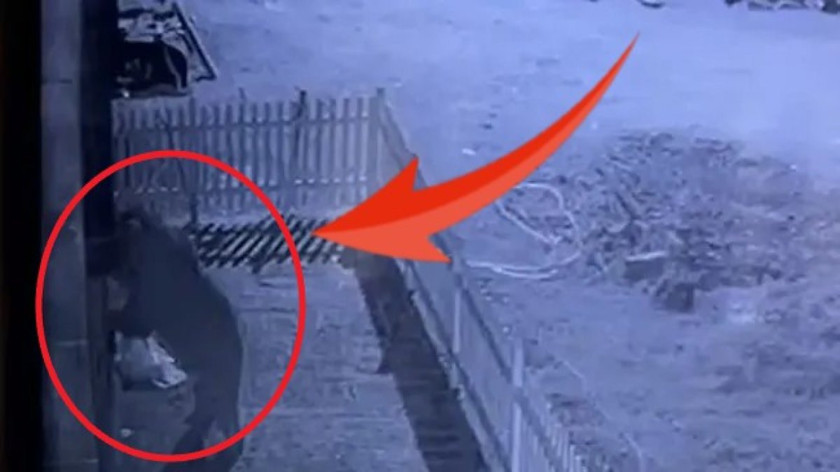 Rize'de ev sahibini şoke eden görüntüler! Kapıyı zorlayanın kim olduğunu görünce gözlerine inanamadı