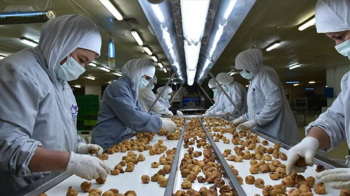 Türkiye’den ihracat atağı! Bir ilk yaşandı: 97 ülkeye satış, 369 milyon dolar kazanç sağlandı!