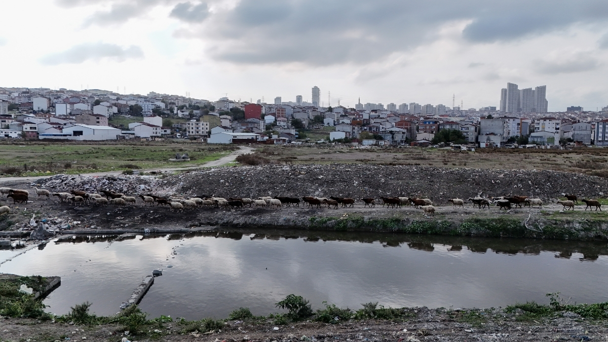 İstanbul’da hayrete düşüren görüntü! Rengi siyaha döndü, etrafı çöple dolu: Derenin kirliliği “yok artık” dedirtti