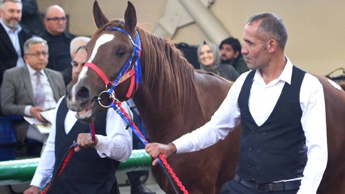 Rekor fiyatla satıldı: ‘Hızlı Yasin’ 10,5 milyon liraya alıcı buldu