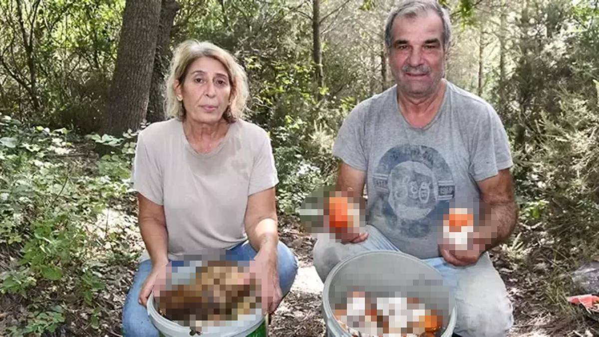 ‘Boş iş’ dediler, o vazgeçmedi! Aylık kazancı 250 Bin TL’yi geçiyor: İnanmayanlara inat rekor gelire ulaştı