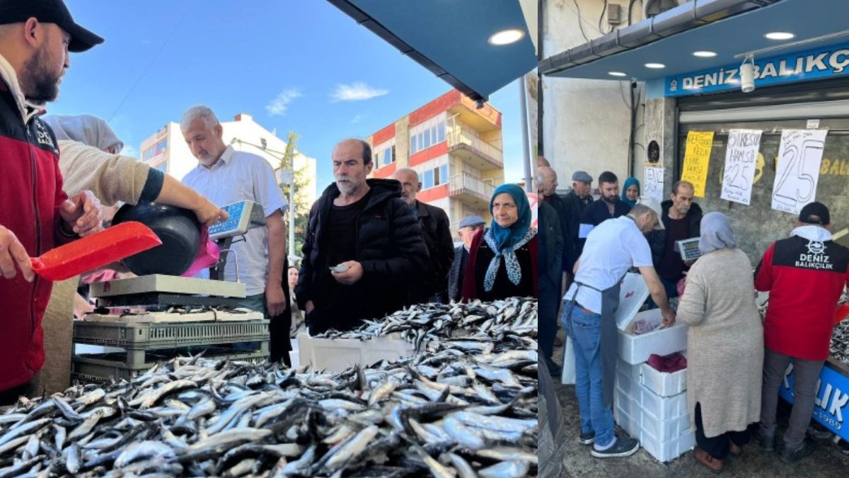 Hamsi bereketiyle geldi! Tezgahlarda fiyatı 25 TL'ye kadar düştü: Vatandaşlar sabah erkenden kuyruğa giriyor