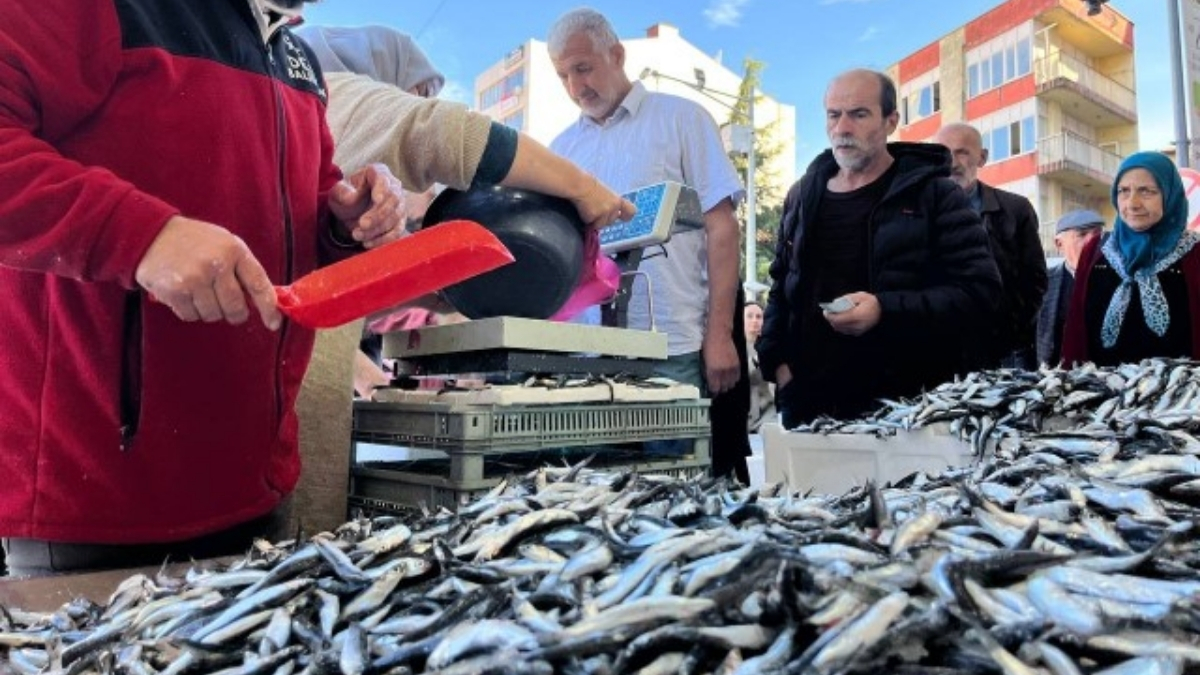 Hamsi 25 liraya düştü, vatandaş tezgahlara akın etti! Bir kişiye en fazla 2 kilo veriliyor