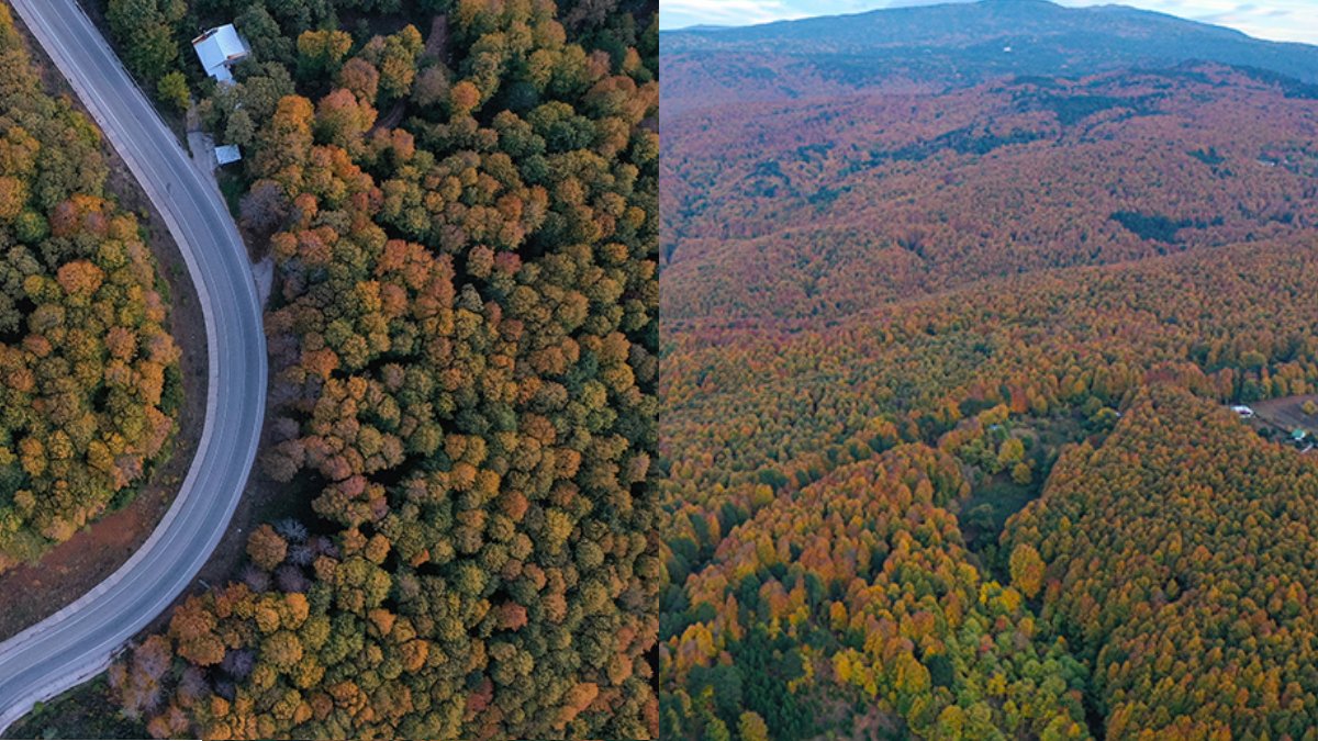 Sonbaharın gelişiyle renk cümbüşü böyle görüntülendi! Uludağ'ı bir de sonbaharda görün...