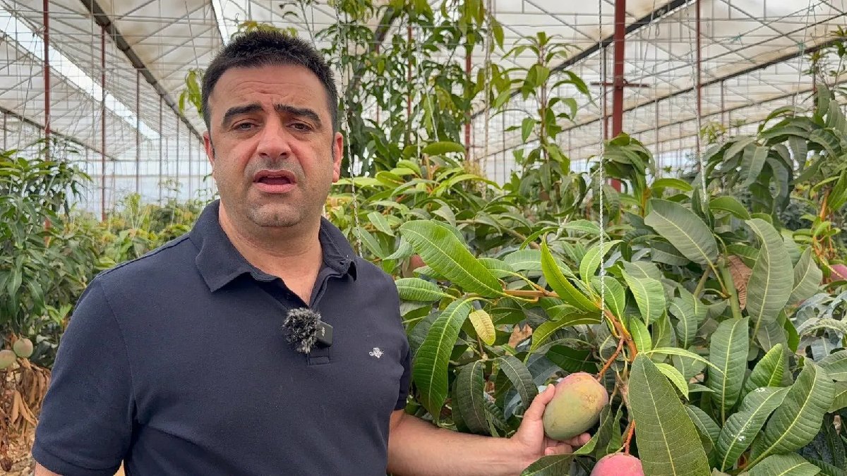 Sadece denemek istedi, çokça verim aldı! 7000 tanesinden topluyor, kimsenin el uzatamadığı işi yapıyor