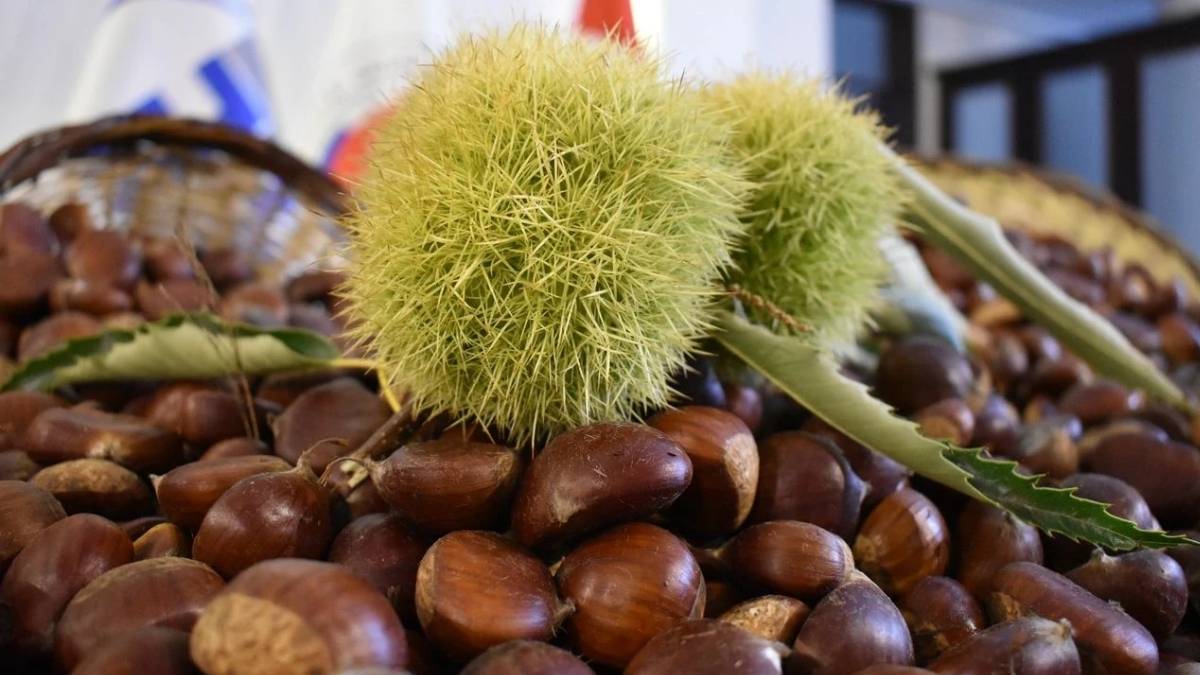 Sezonun ilk ürünleri çıktı! Kışın vazgeçilmez lezzeti tezgahlarda: Kilosu 550 lira