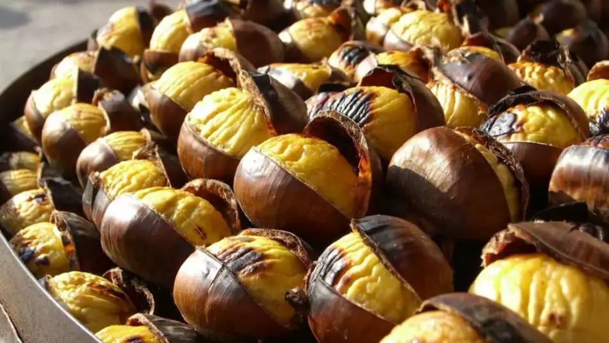 Kışın vazgeçilmez lezzeti sağlık deposu çıktı! Soğuk kış günlerinde tüketiliyor, vücudu resmen resetliyor