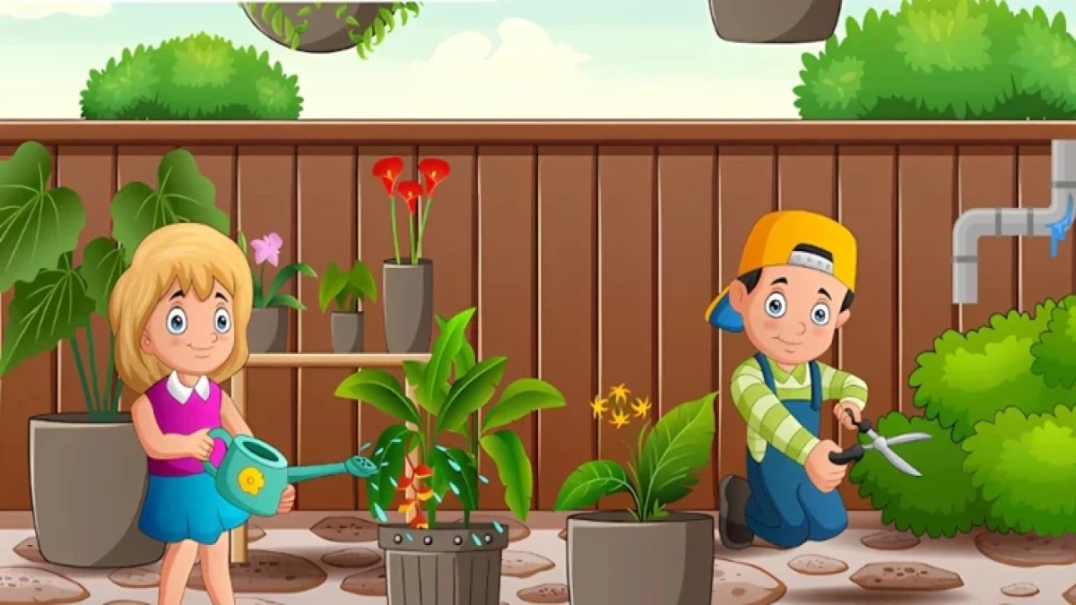 15 saniye sınırı! Yüksek IQ'luların hemen çözdüğü o bahçe bulmacası: Mantık hatası nerede gizli?