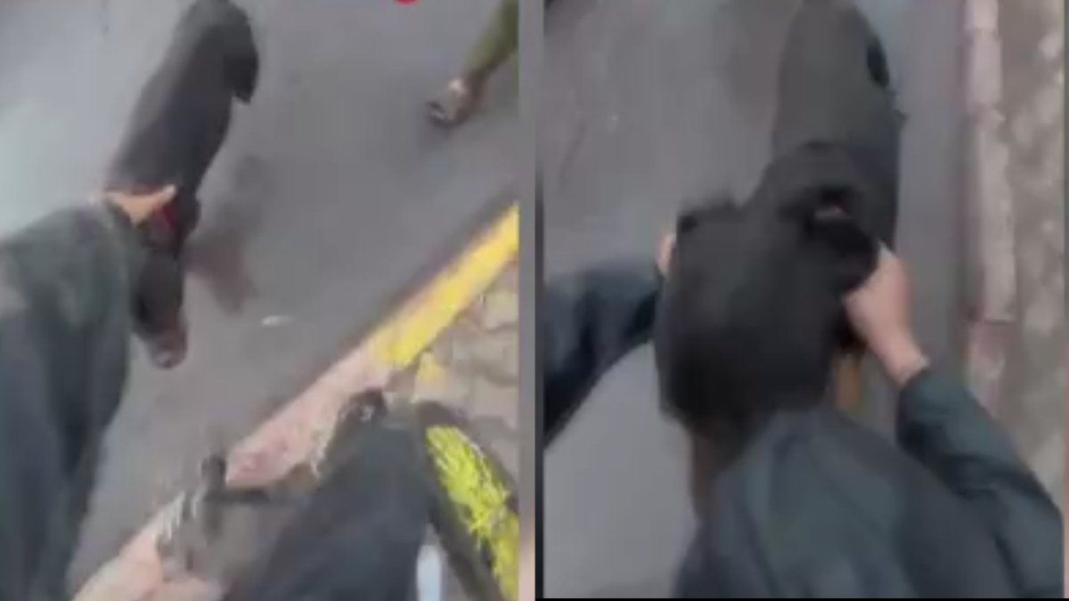 Mersin'de ağızlık takılmayan rottweiler dehşeti! Bir kadına ve motokuryeye saldırdı: Çığlık dolu anlar kamerada