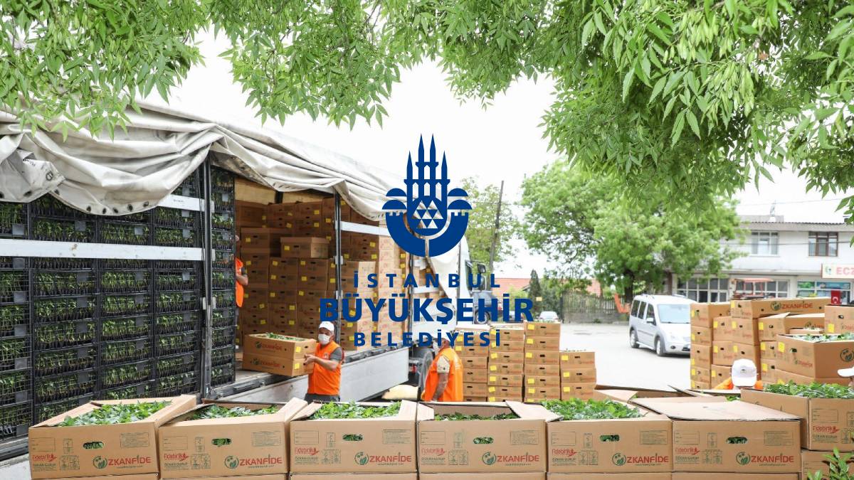 İBB üreticiye destek vermeye devam ediyor! Ücretsiz fide dağıtımı başlıyor: Bugün 13.00’te herkes bekleniyor